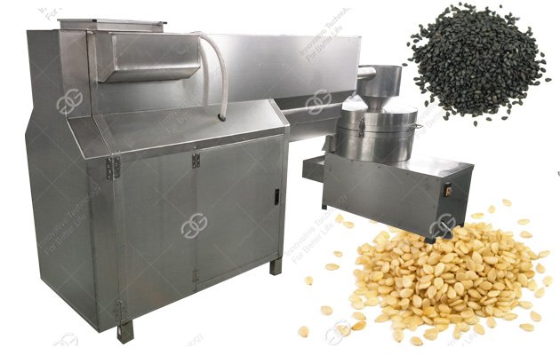 Automatic Sesame Seeds Washing Drying Machine Manufacturer
